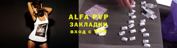 mdpv Бородино
