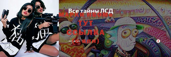mdpv Бородино