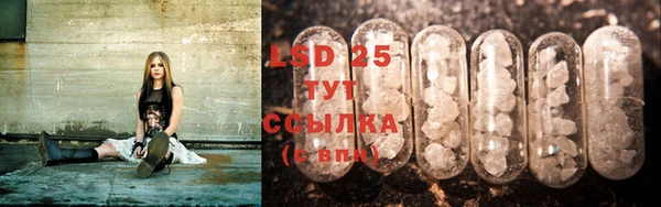 mdpv Бородино