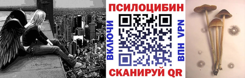 Галлюциногенные грибы Cubensis  Саратов 